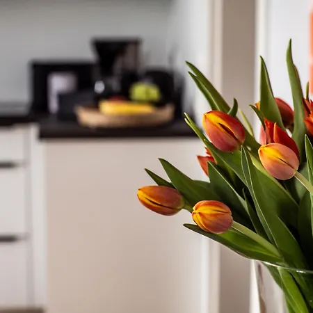 Apartamento 6 130 M2 Wundervoll Sanierte Zentral Ruhig Hochwertig